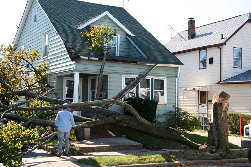 Fallen tree on house