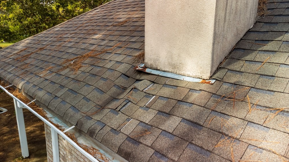 damaged shingles